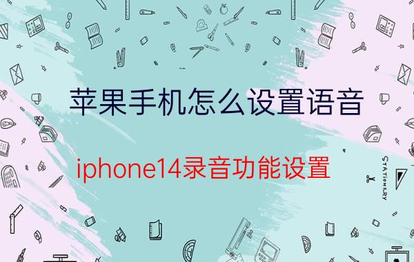 苹果手机怎么设置语音 iphone14录音功能设置？